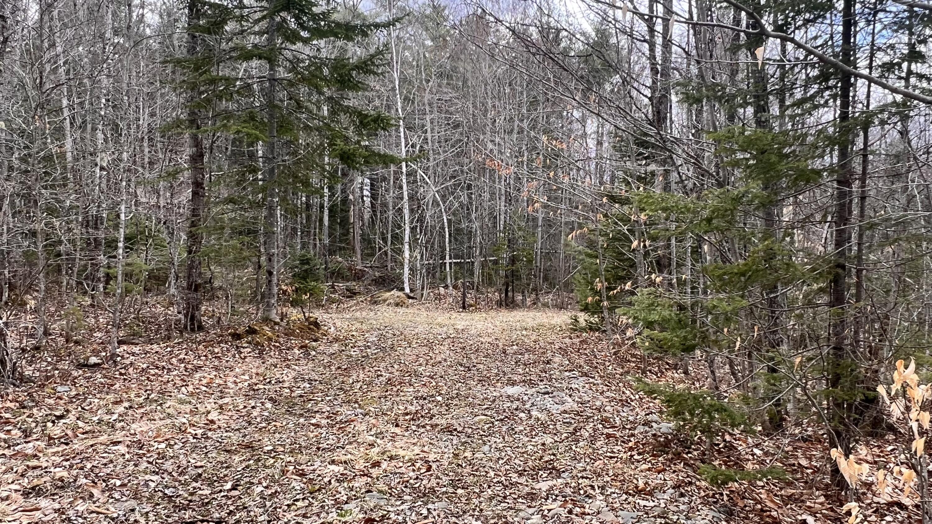 105 Hatch Hill Road Garland, ME 04939 - Photo 6 of 24 IMG_7668