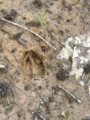 $271,200 | 4501 Jacksonville Tx 75766, Jacksonville, TX 75766