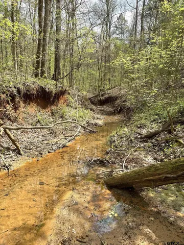 $271,200 | 4501 Jacksonville Tx 75766, Jacksonville, TX 75766