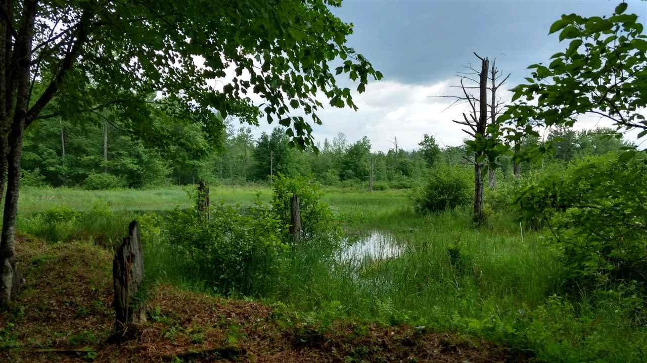 8 Deer Meadow Road Webster, NH 03303 - Photo 13 of 30