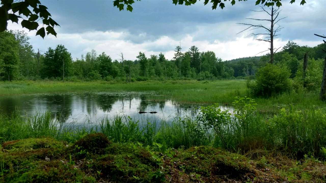 8 Deer Meadow Road Webster, NH 03303 - Photo 15 of 30