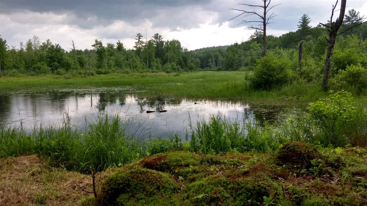 8 Deer Meadow Road Webster, NH 03303 - Photo 16 of 30