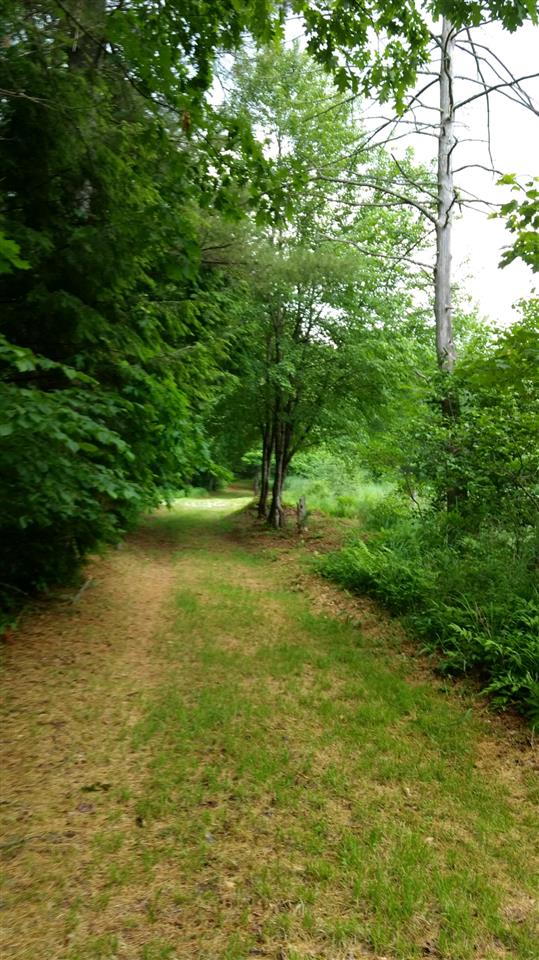 8 Deer Meadow Road Webster, NH 03303 - Photo 7 of 30