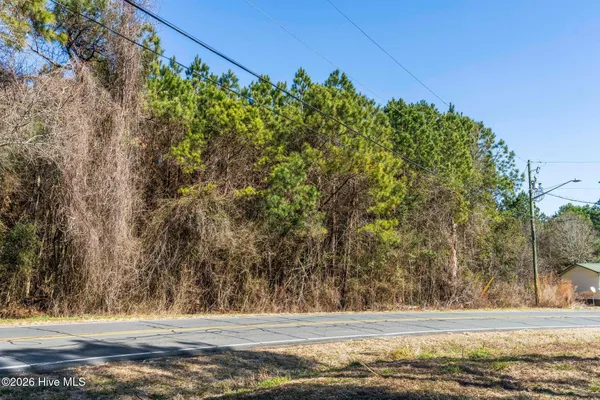 $100,000 | 3.5-ac Northwest 1st Street, Teachey, NC 28464