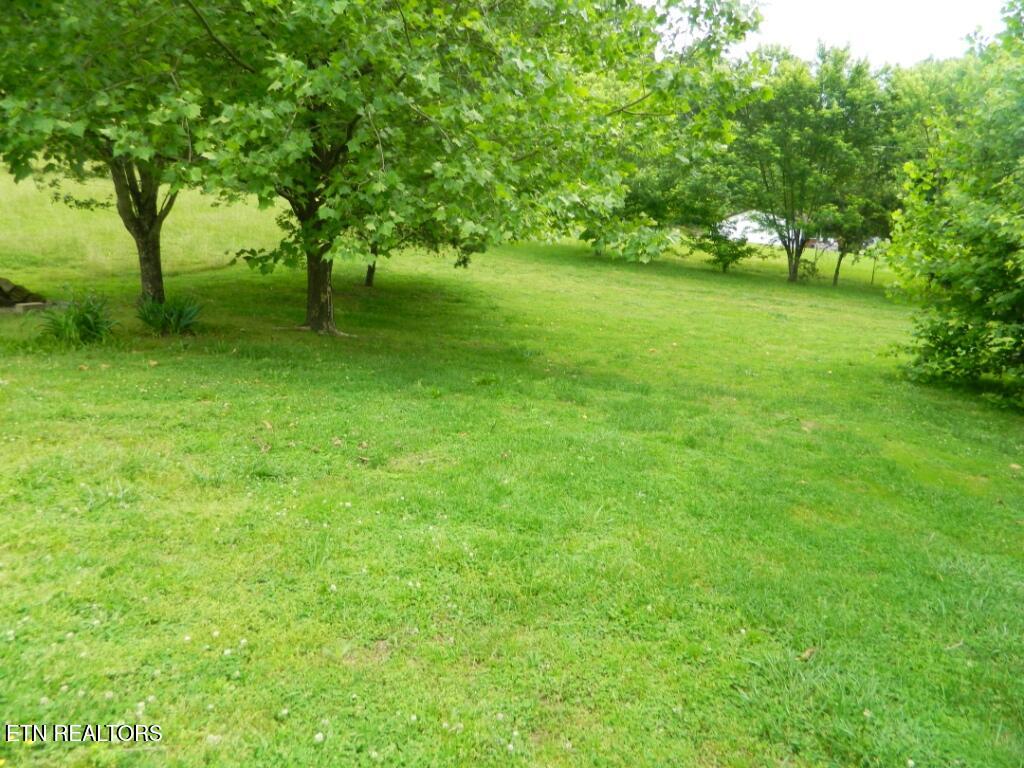 232 Sallings Road Luttrell, TN 37779 - Photo 16 of 34 DSCN9737