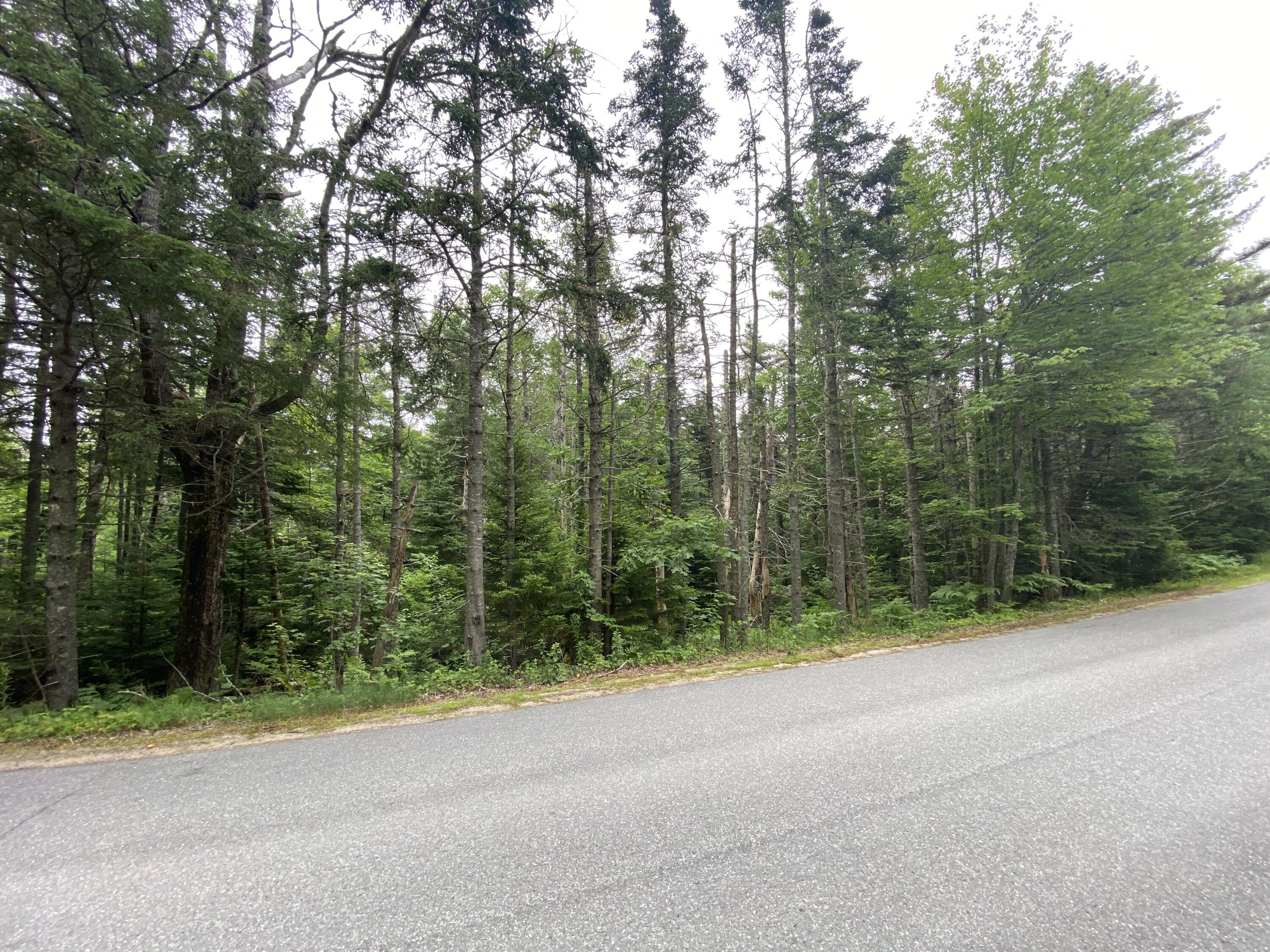 Lot 2 Gouldsboro Point Road Gouldsboro, ME 04607 - Photo 4 of 6 Lot