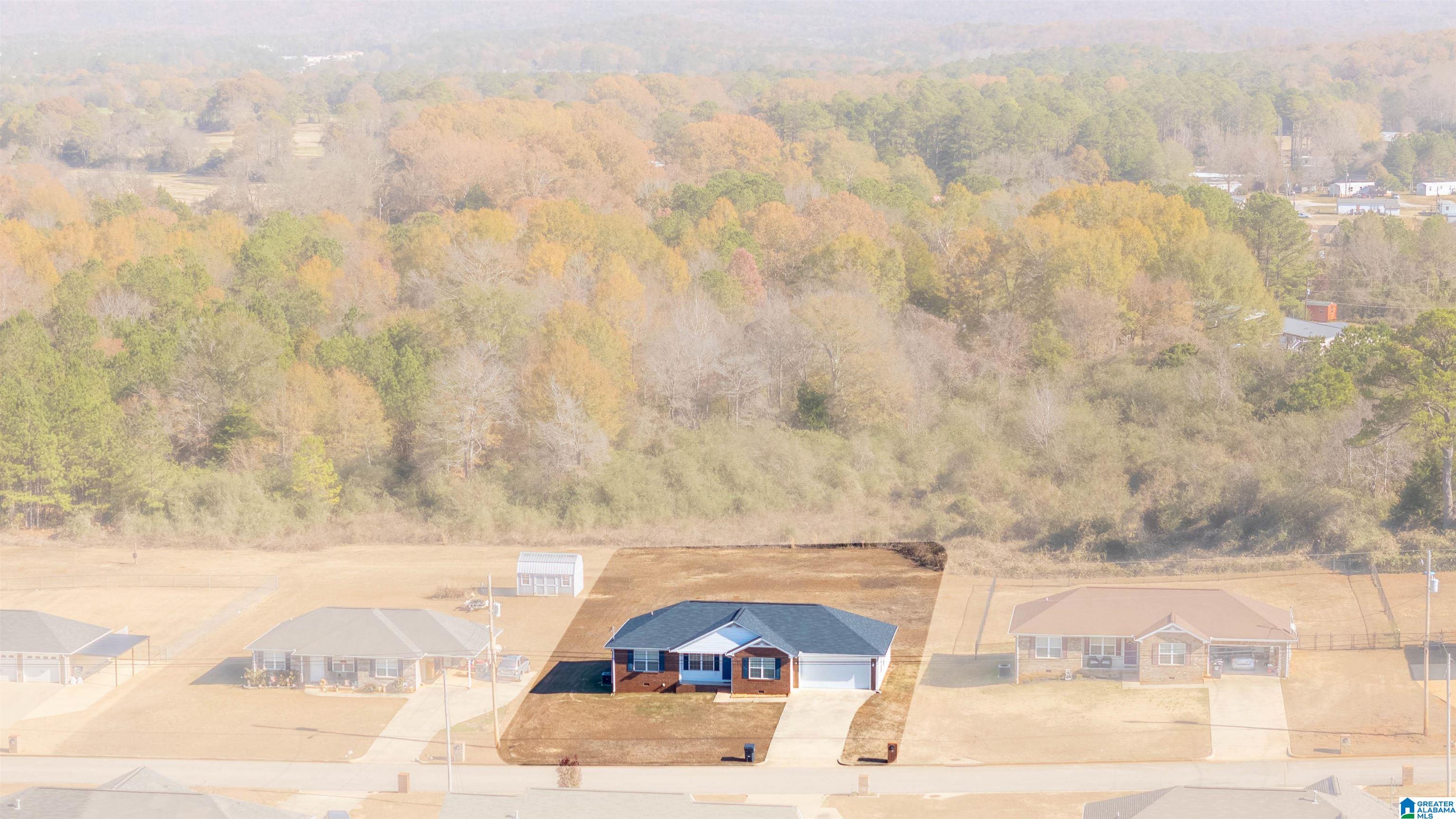 406 Bailey Road Weaver, AL 36277 - Photo 4 of 28