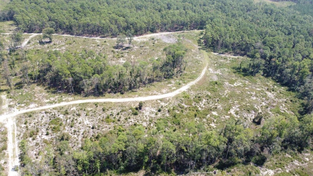 0 Big Ridge Road Jesup, GA 31545 - Photo 1 of 1 Gallery Image 1
