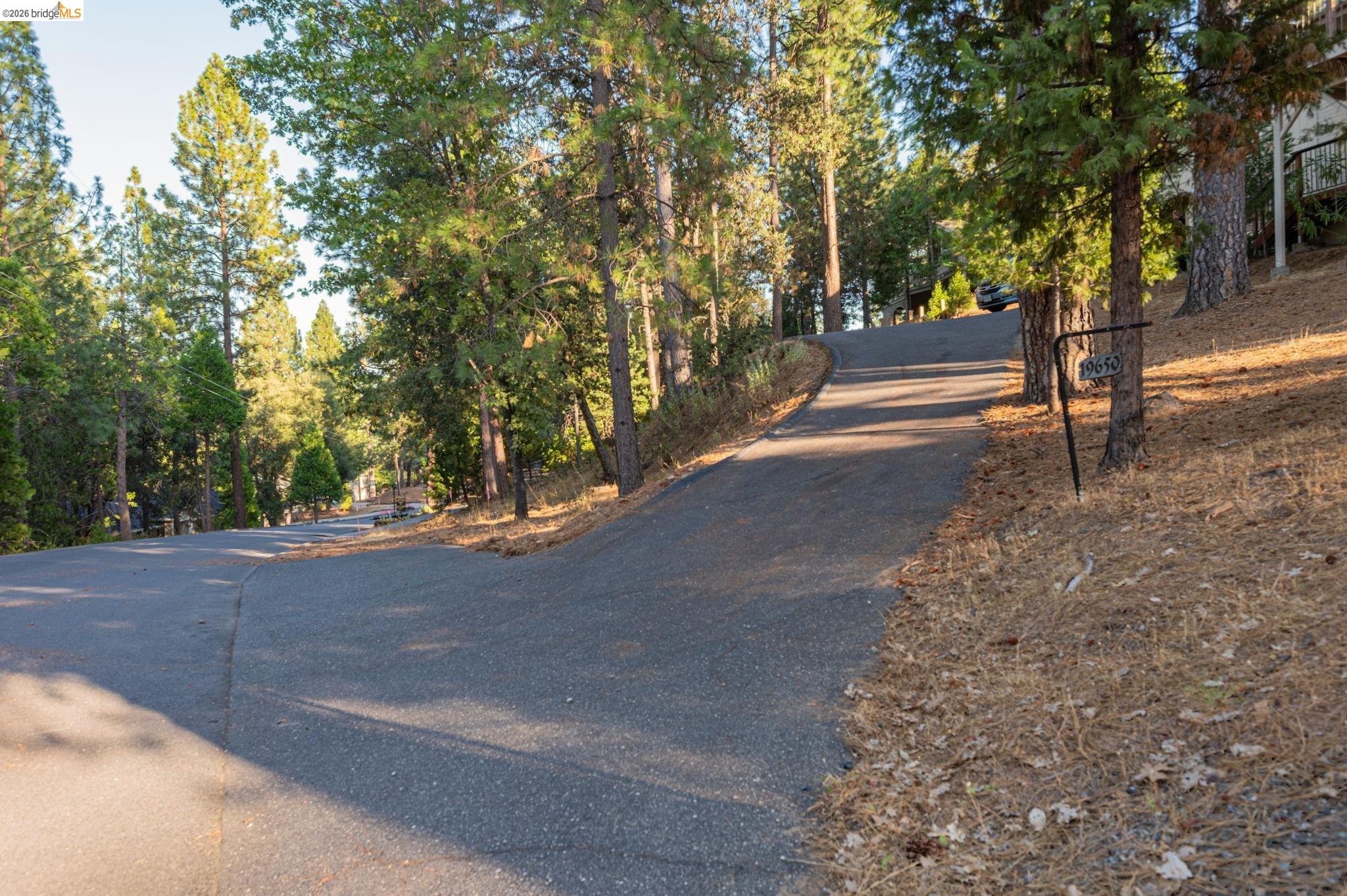 19650 Butler Way Groveland, CA 95321 - Photo 9 of 60