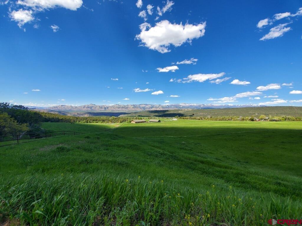 10497 54 7/10 Road Molina, CO 81646 - Photo 41 of 45 a view of a big yard with lots of green space