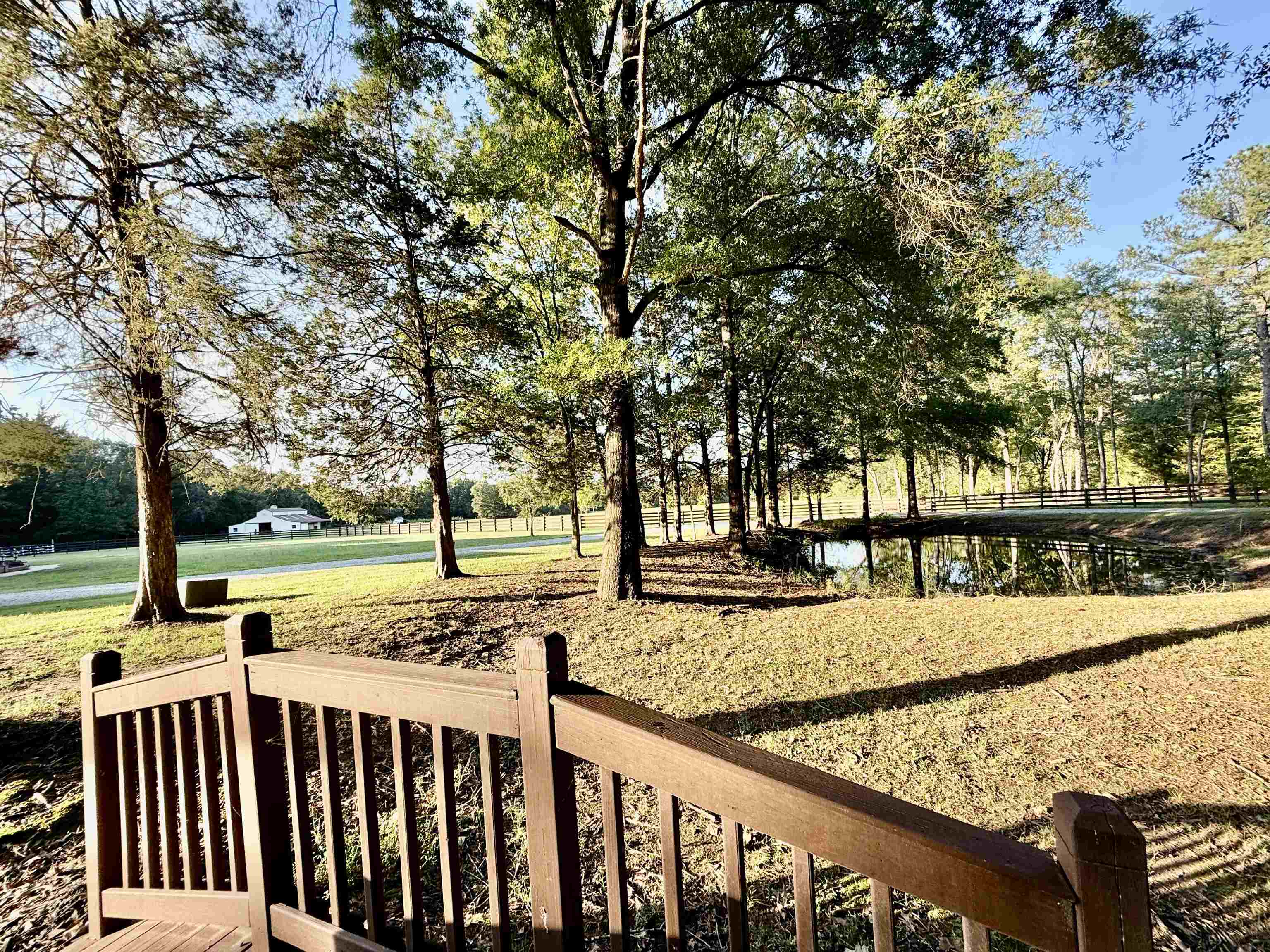705 Old Solomon Mill Road Somerville, TN 38068 - Photo 32 of 40 a view of a deck with a trees front of house