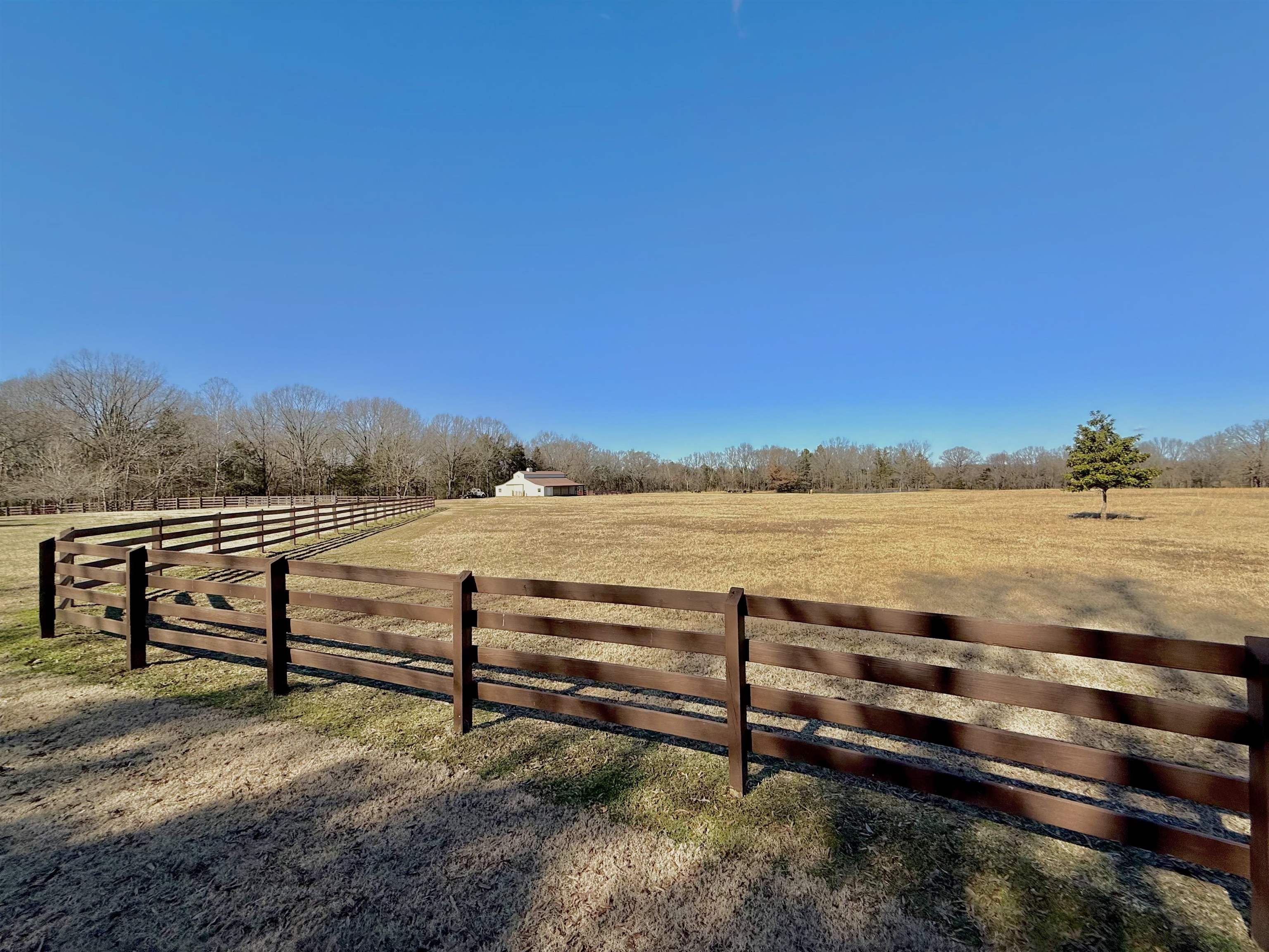 705 Old Solomon Mill Road Somerville, TN 38068 - Photo 33 of 40 a view of a lake with outdoor space