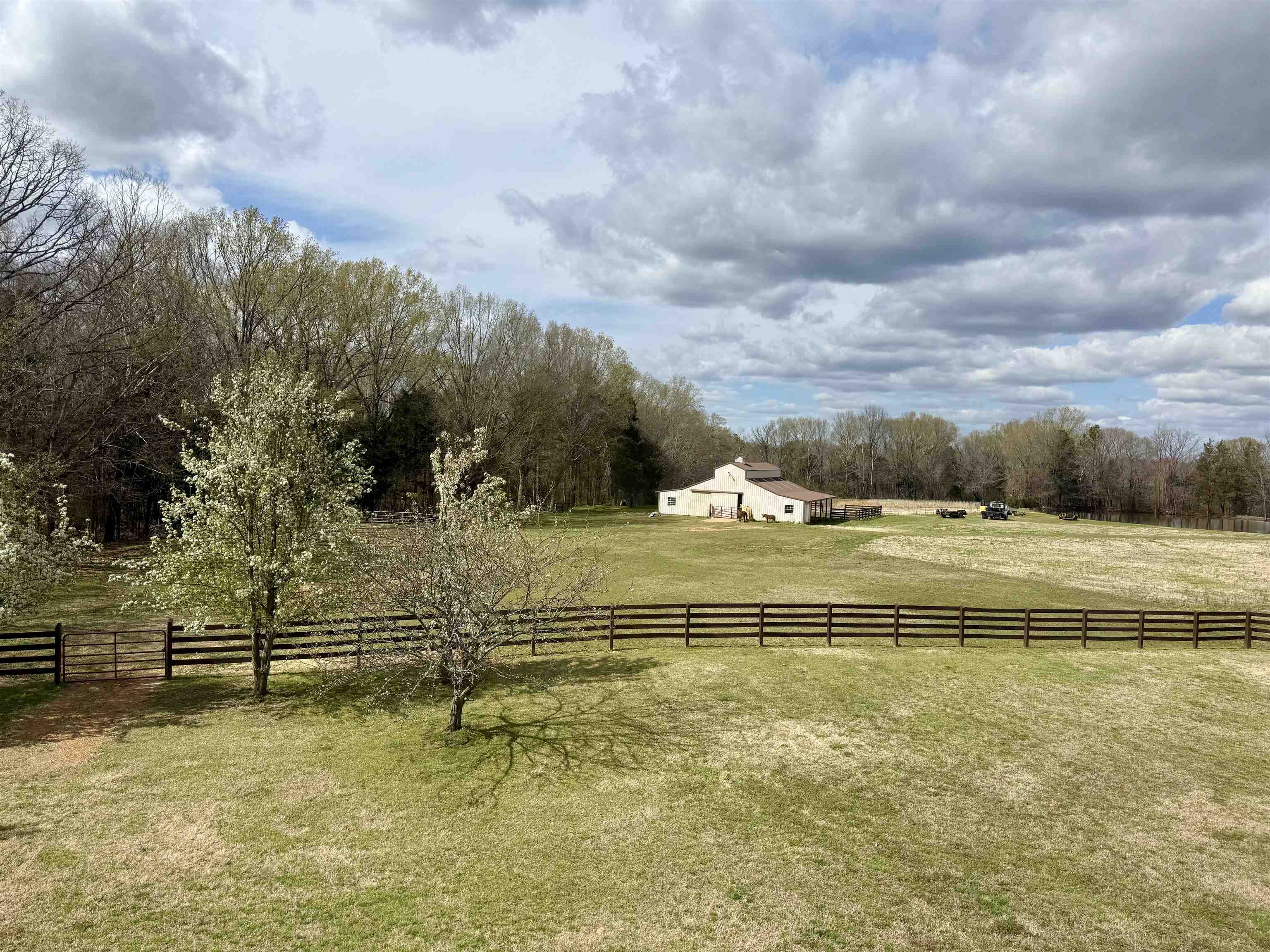 705 Old Solomon Mill Road Somerville, TN 38068 - Photo 34 of 40 a view of swimming pool with outdoor seating and lake view