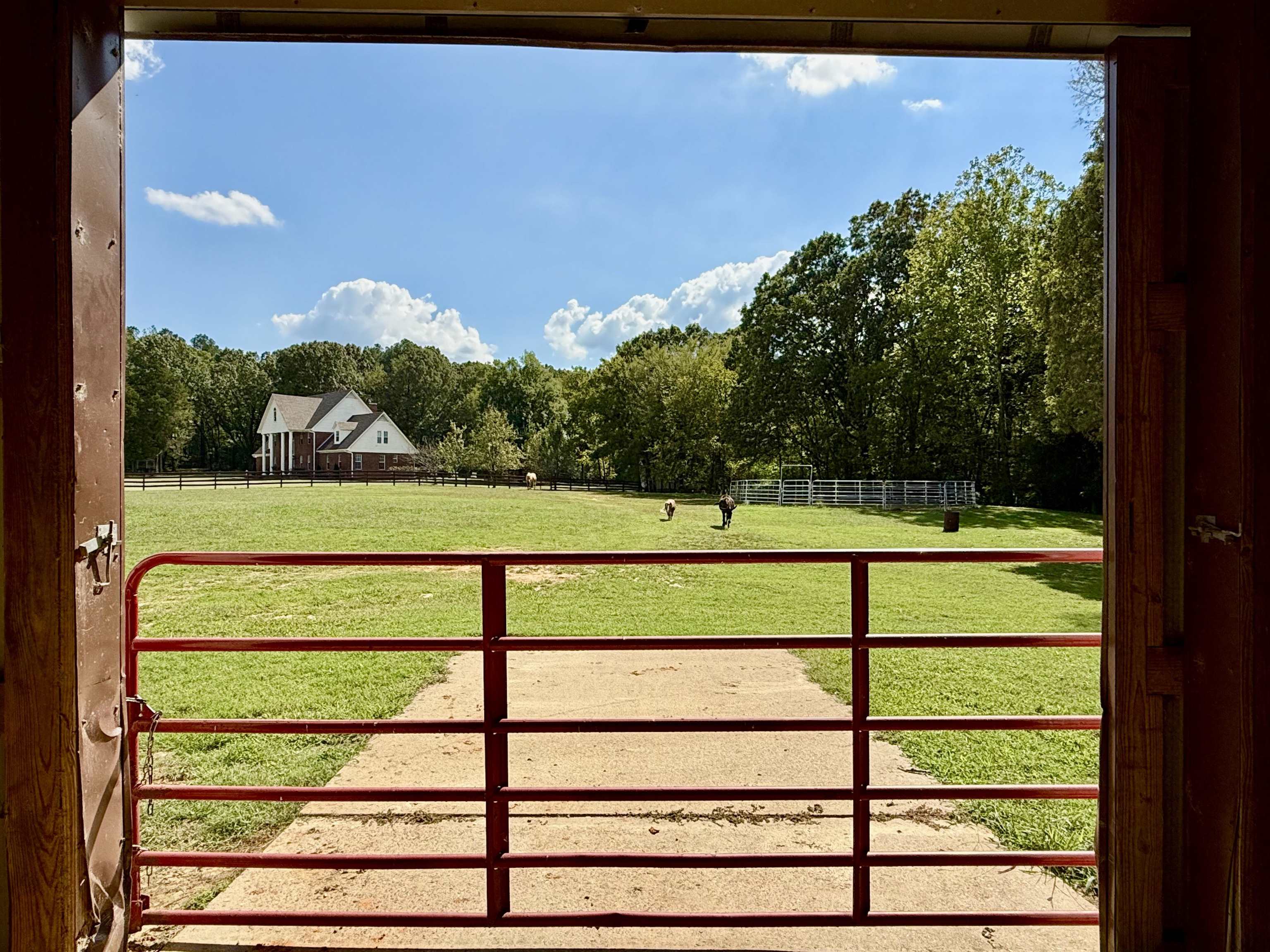 705 Old Solomon Mill Road Somerville, TN 38068 - Photo 36 of 40 a view of a tennis court