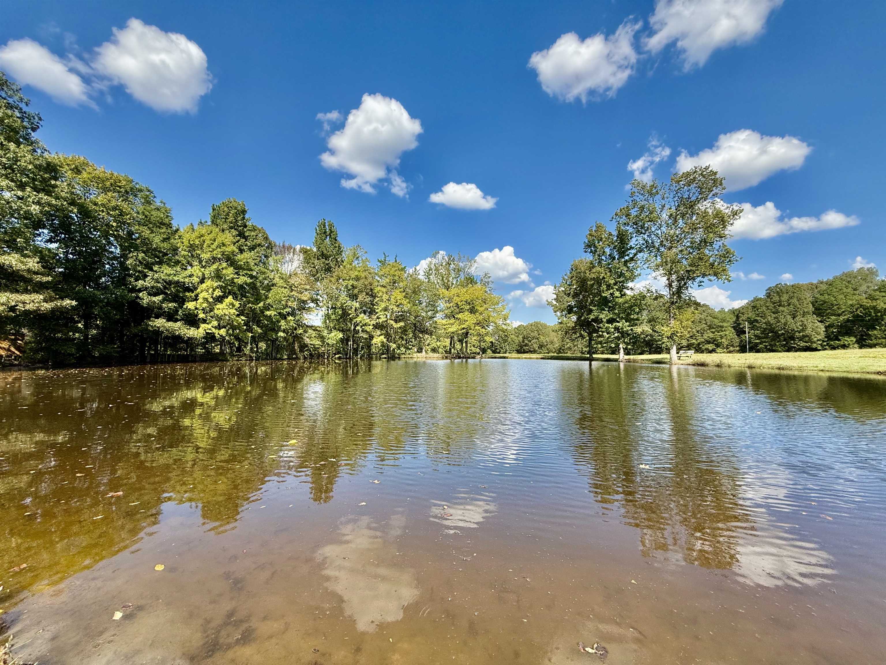 705 Old Solomon Mill Road Somerville, TN 38068 - Photo 38 of 40 a view of a lake