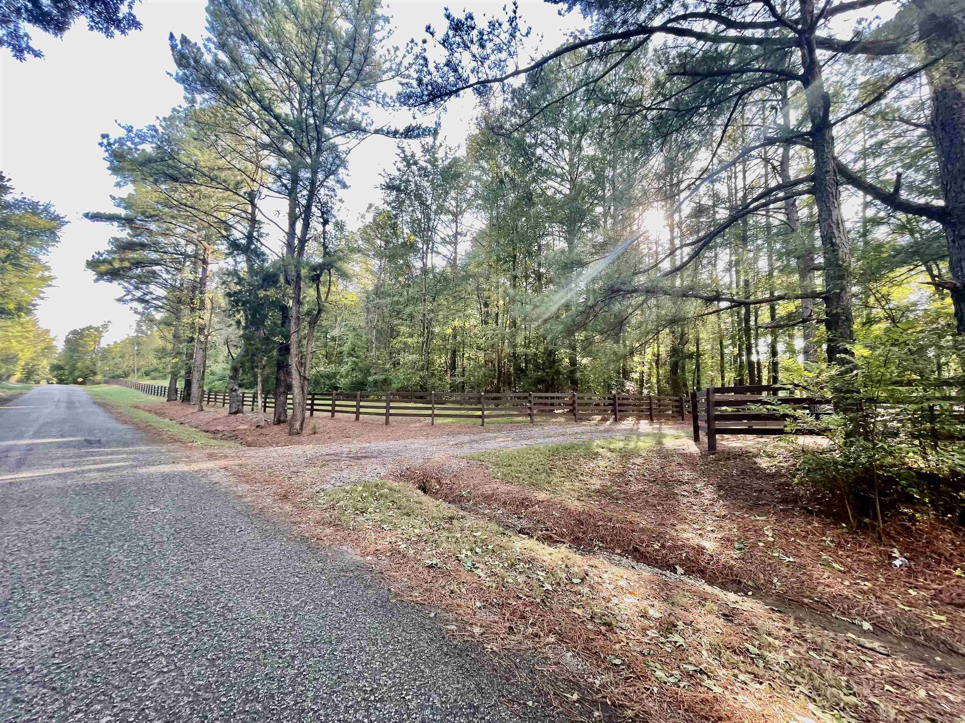 705 Old Solomon Mill Road Somerville, TN 38068 - Photo 39 of 40 a view of a yard with a tree