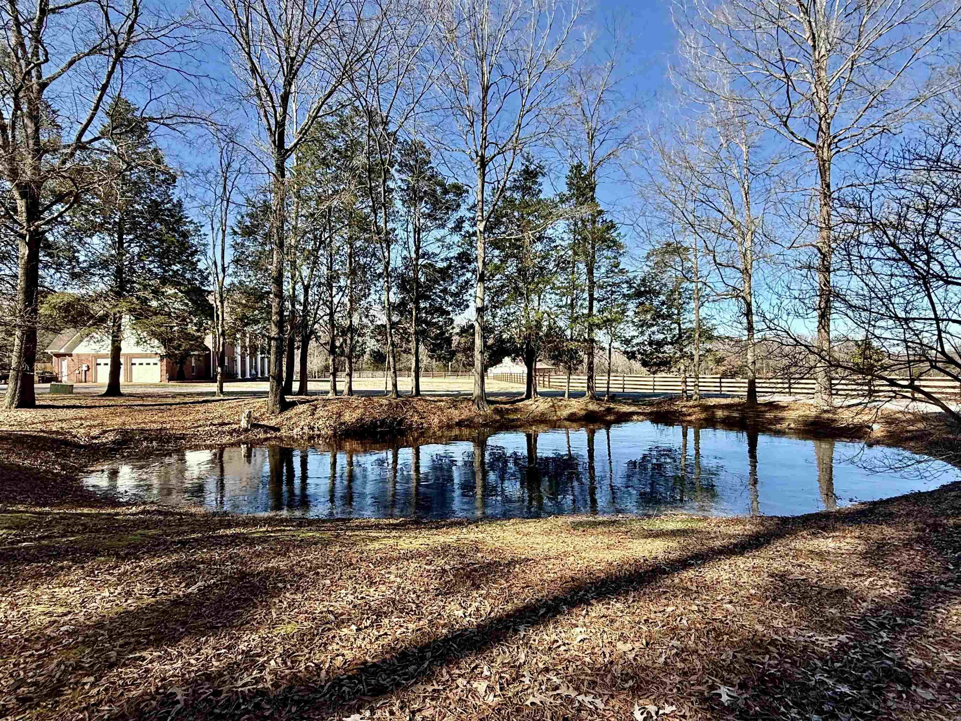 705 Old Solomon Mill Road Somerville, TN 38068 - Photo 40 of 40 a view of a swimming pool with a yard