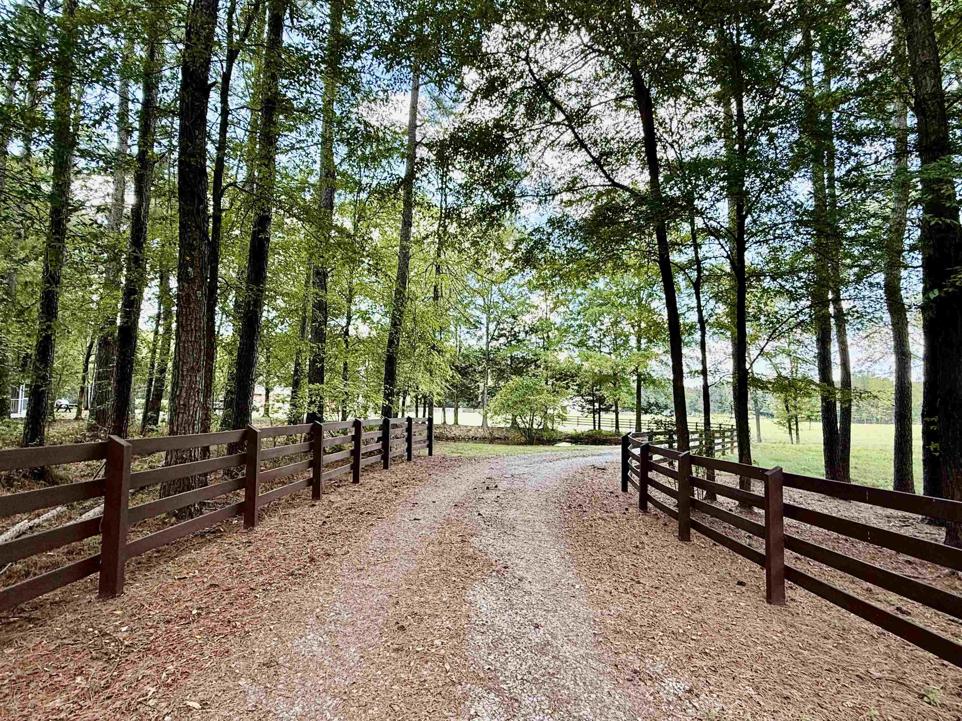 705 Old Solomon Mill Road Somerville, TN 38068 - Photo 5 of 40 a view of park benches and trees in the back yard