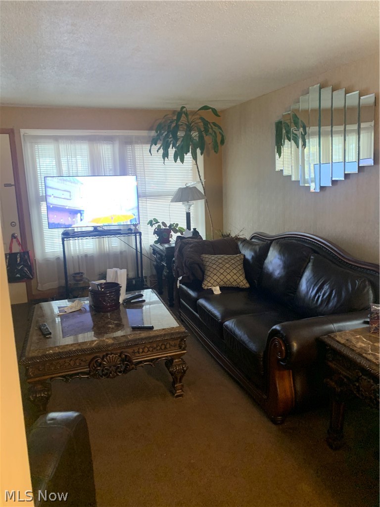 25561 Tungsten Road Euclid, OH 44132 - Photo 8 of 21 Gallery Image 8