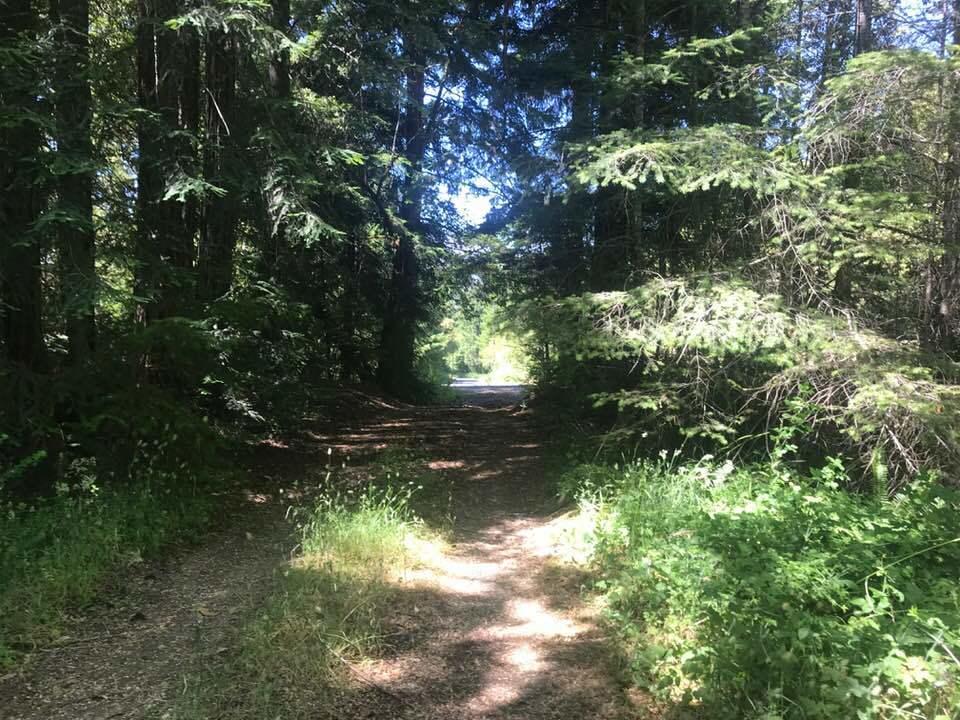 0 Dyerville Loop Road Redcrest, CA 95569 - Photo 2 of 11