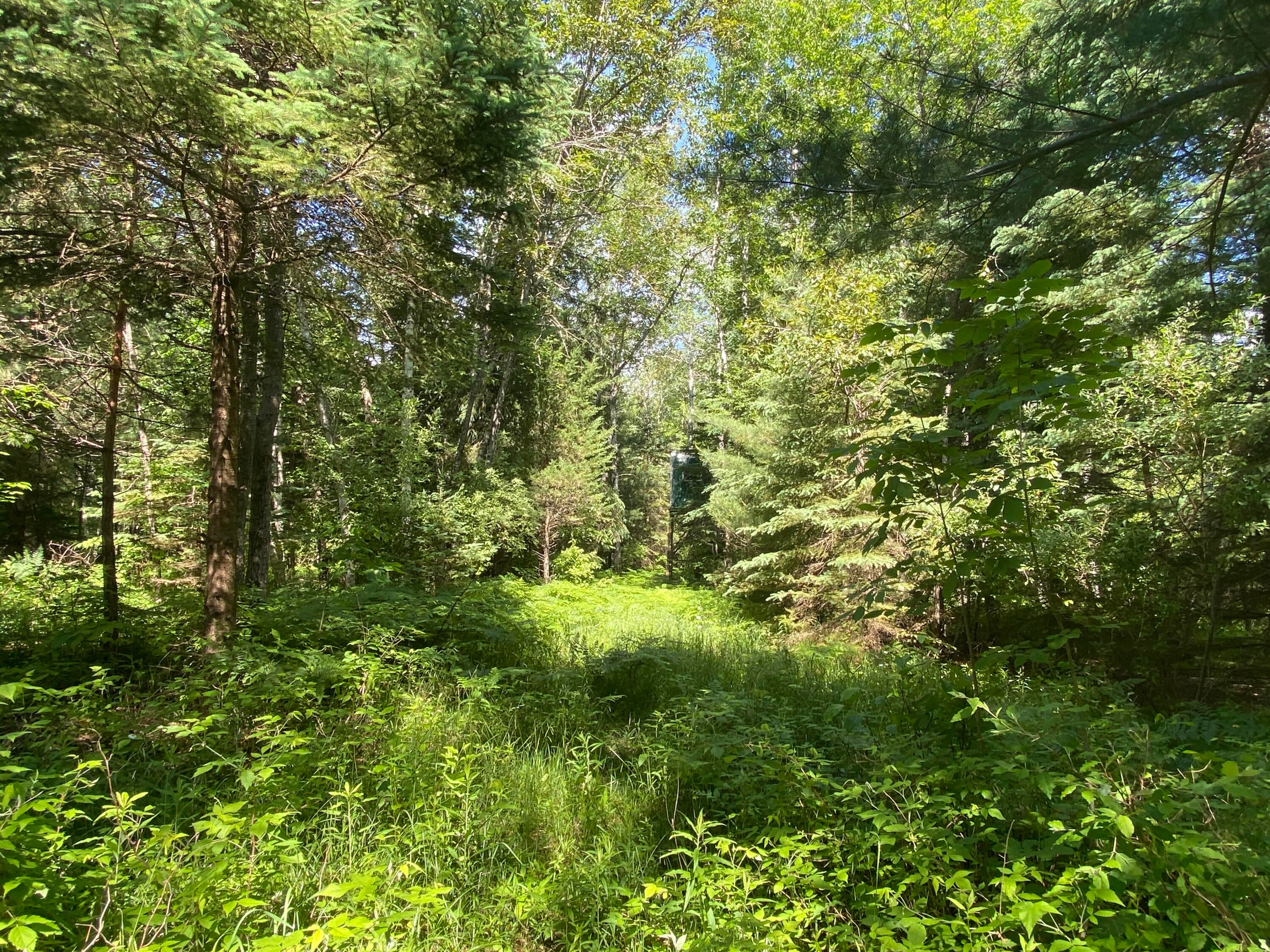 Townline Rd Road Rose City, MI 48654 - Photo 10 of 26 Gallery Image 10