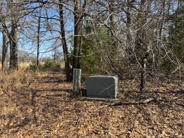 1575 County Road 1575 Alba, TX 75410 - Photo 11 of 14 a view of a dry yard with trees