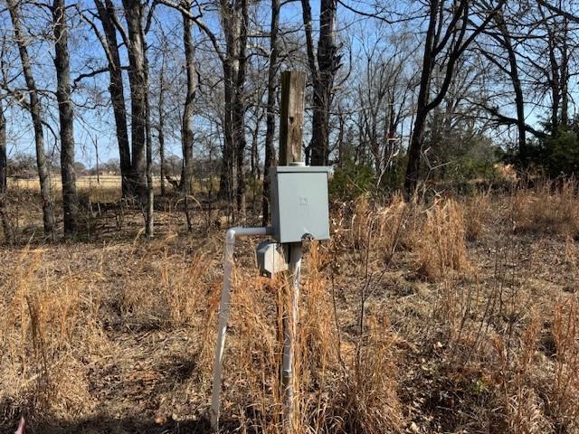 1575 County Road 1575 Alba, TX 75410 - Photo 12 of 14 a view of a backyard with large trees