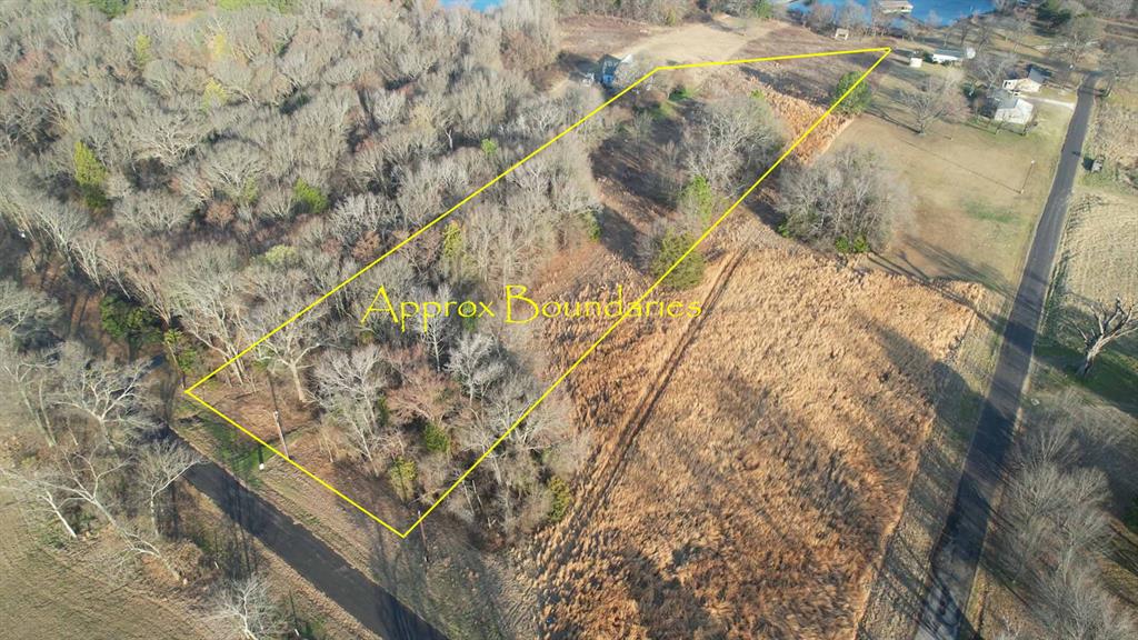 1575 County Road 1575 Alba, TX 75410 - Photo 3 of 14 a view of wooden tree