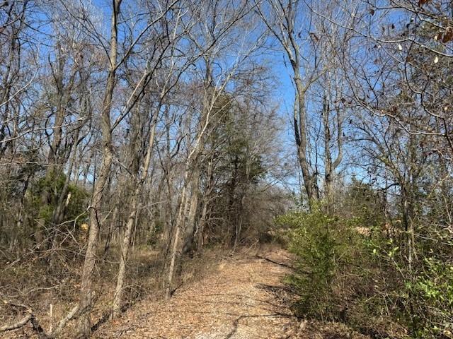 1575 County Road 1575 Alba, TX 75410 - Photo 7 of 14 a view of a yard with large trees