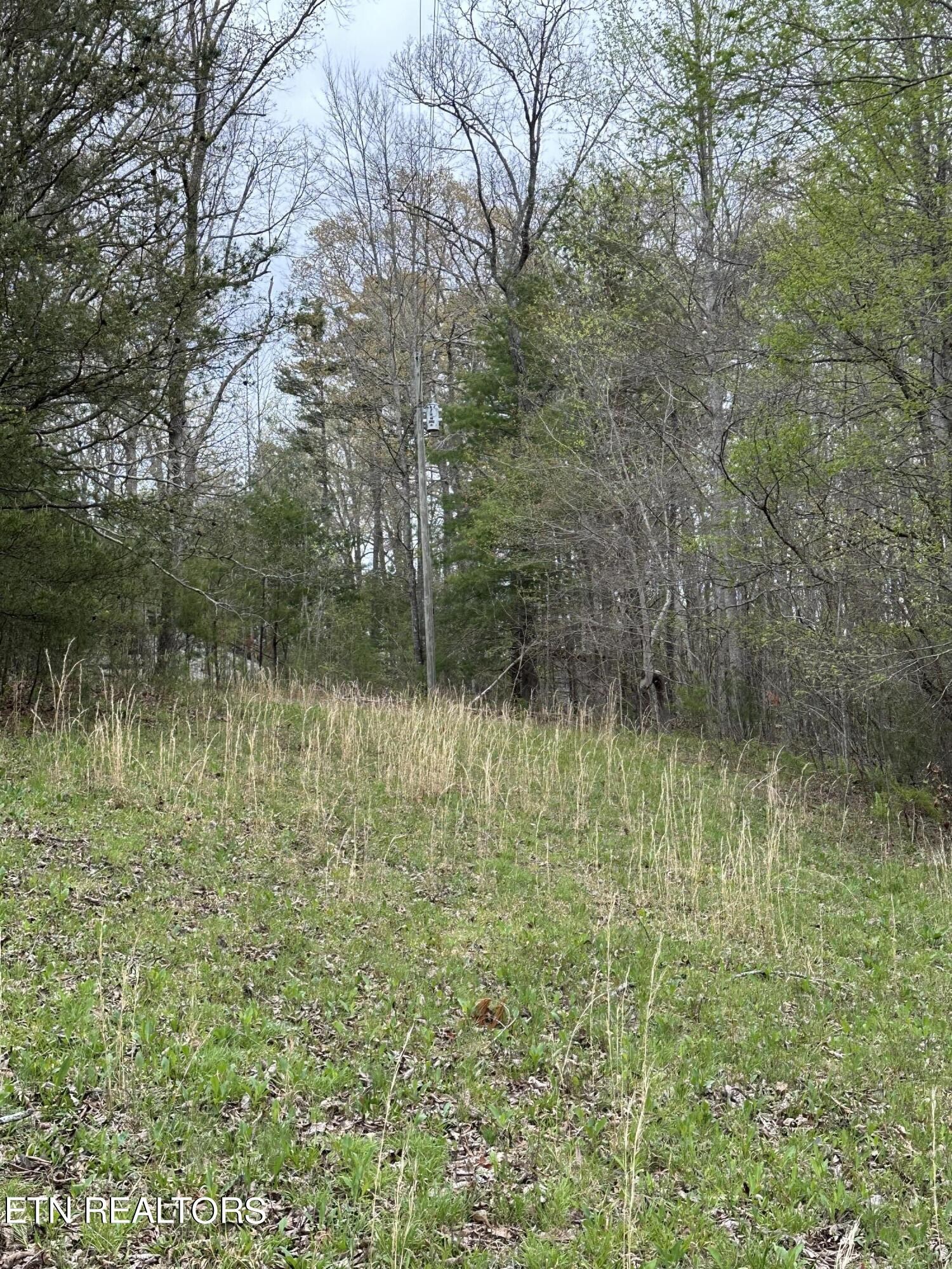 0 Epperson Road Tellico Plains, TN 37385 - Photo 7 of 7 Gallery Image 7