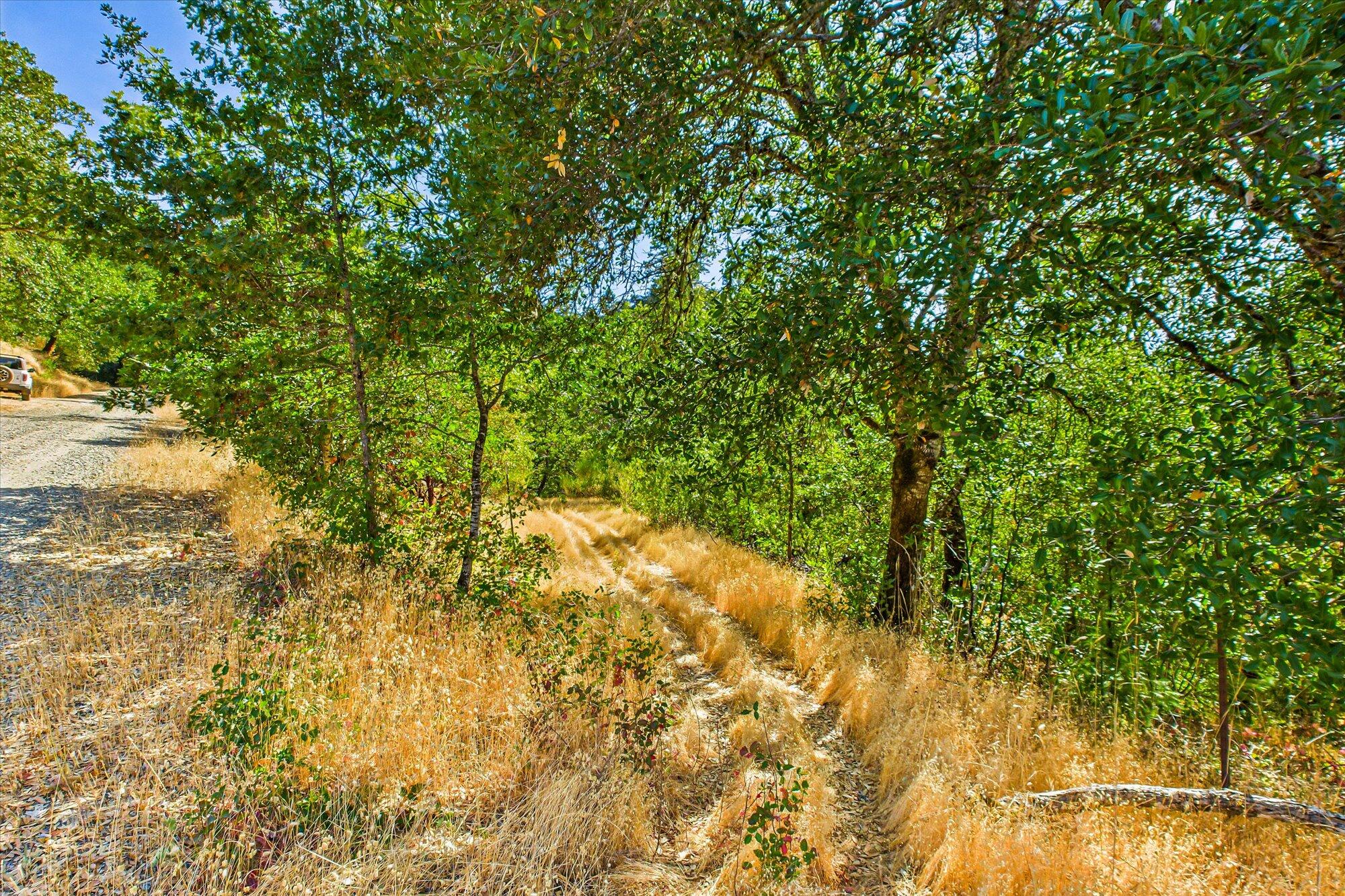 1991 Steelhead Road Alderpoint, CA 95511 - Photo 59 of 66 West Side of Steelhead
