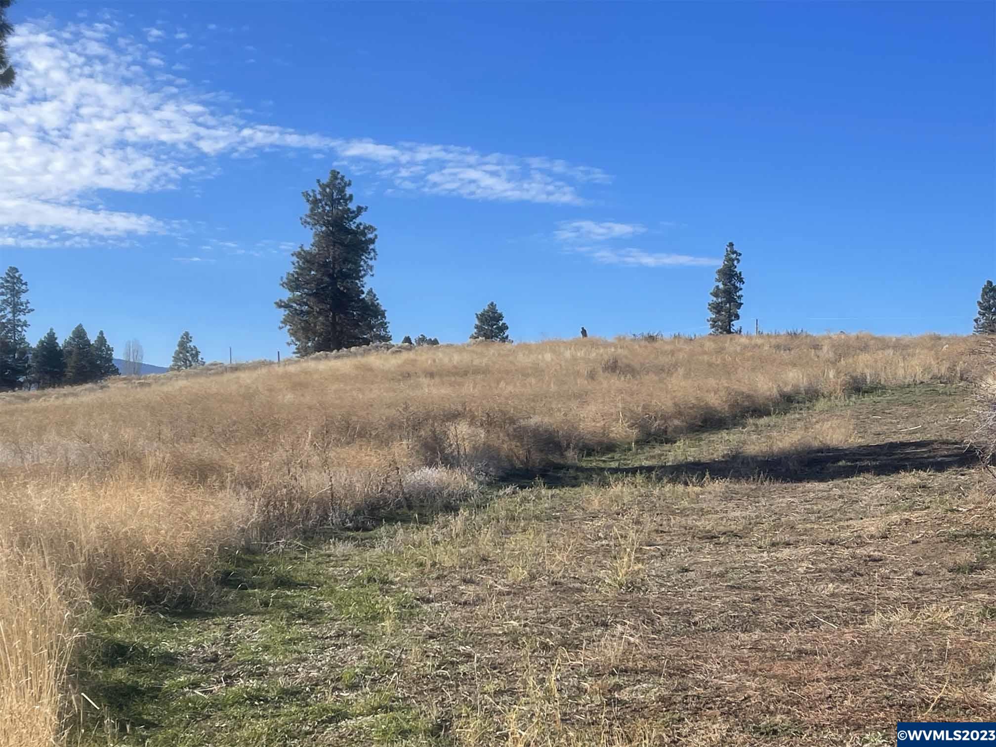 45-46 Deerview Court Chiloquin, OR 97624 - Photo 2 of 22