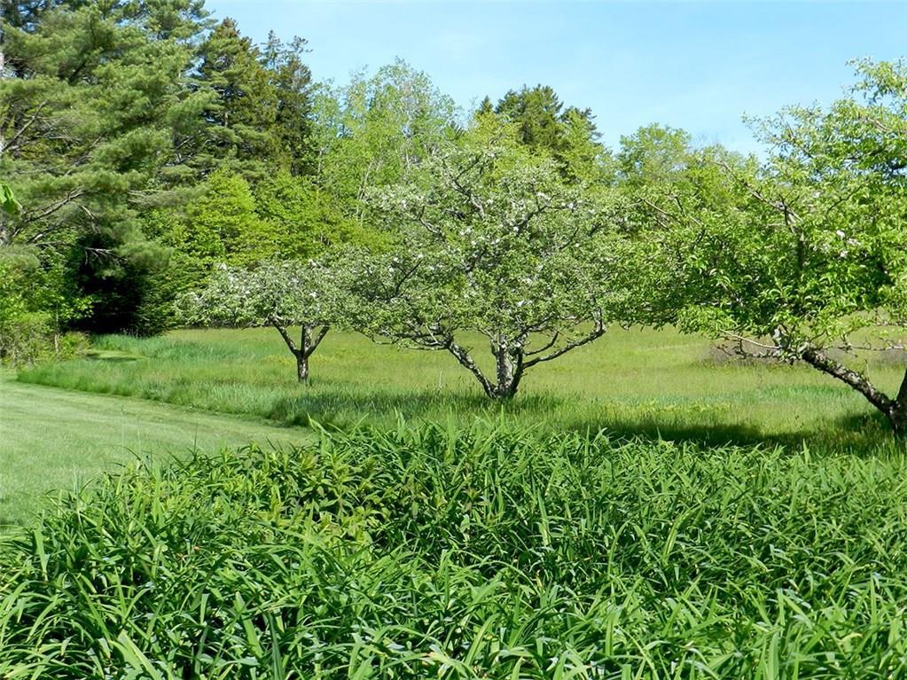 907 Newbury Neck Road Surry, ME 04684 - Photo 19 of 23 Photo
