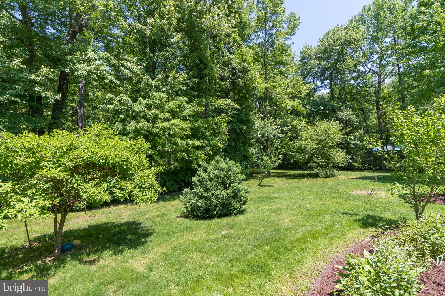 59 Tindall Road Trenton, NJ 08691 - Photo 69 of 76 Back Yard East