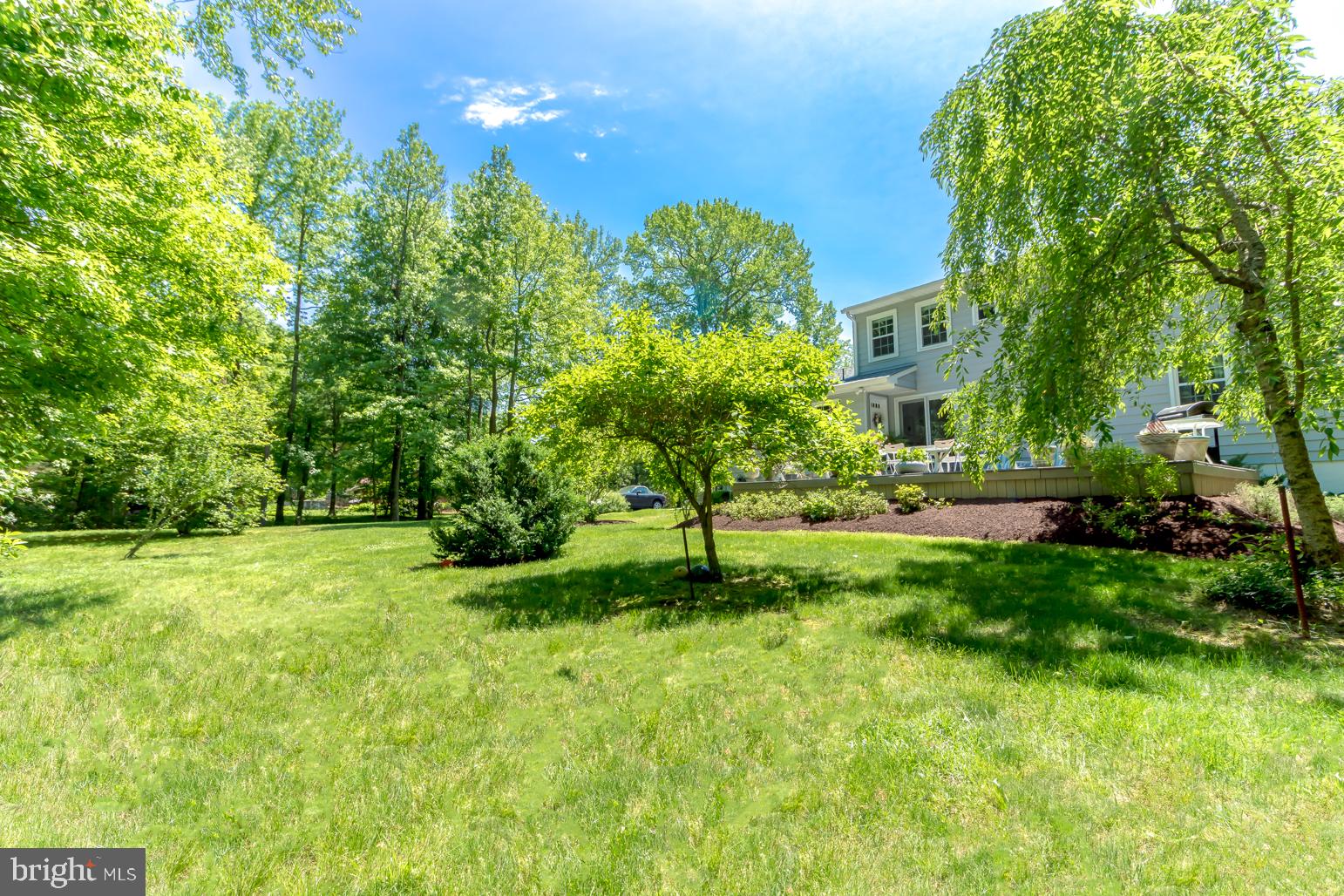 59 Tindall Road Trenton, NJ 08691 - Photo 71 of 76 Back Yard West Corner