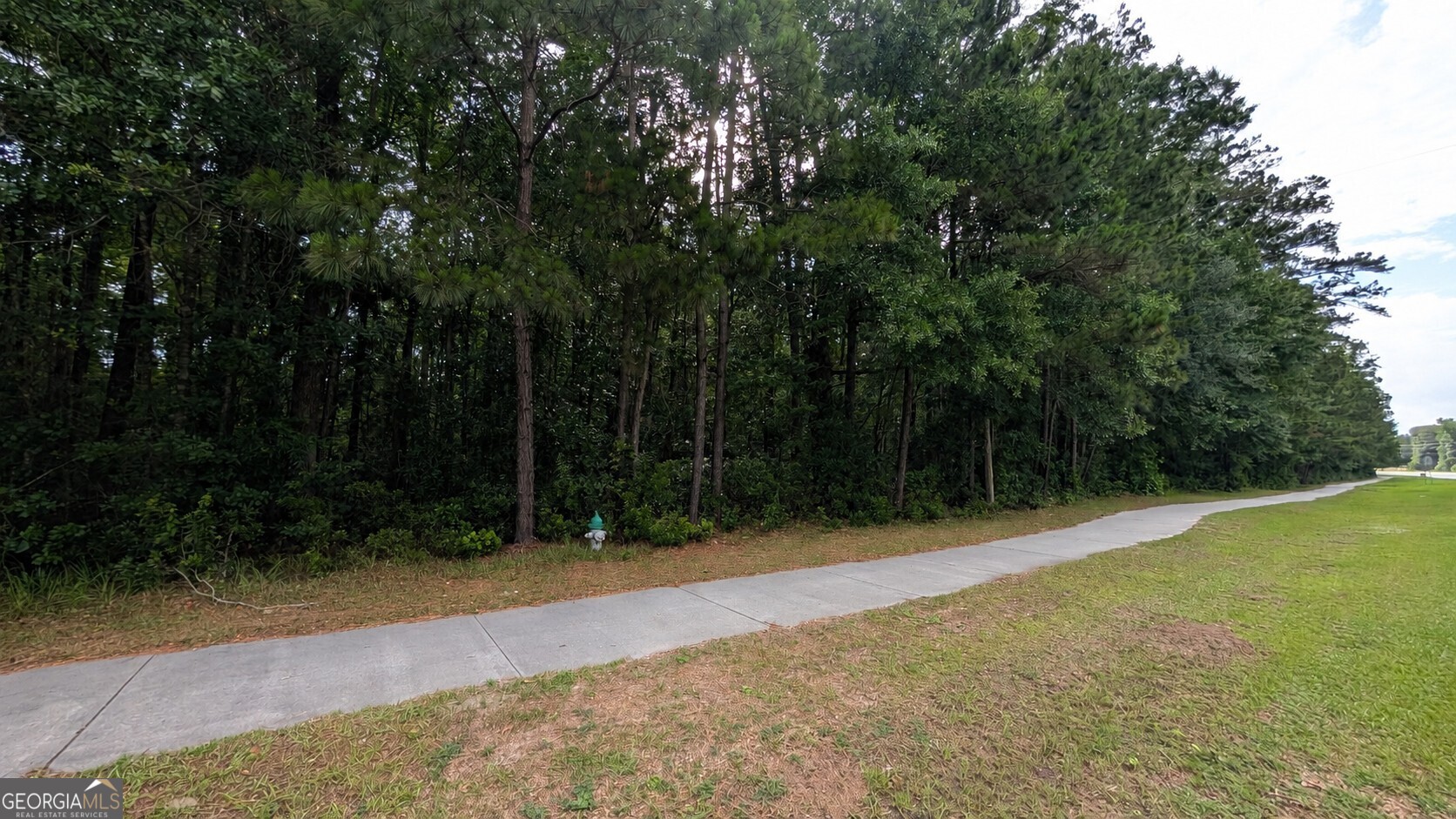 0 Harris Trail Road Richmond Hill, GA 31324 - Photo 1 of 4 a view of basketball court