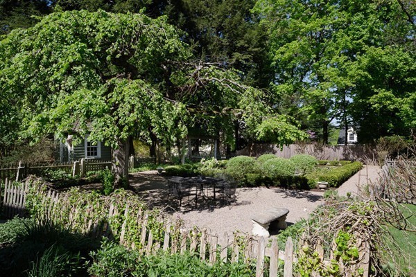 55 Willow Street Dover, MA 02030 - Photo 5 of 22 a view of backyard and tree