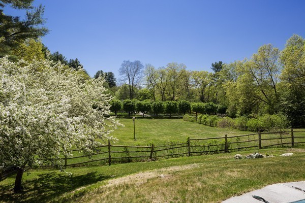 55 Willow Street Dover, MA 02030 - Photo 7 of 22 a view of a park