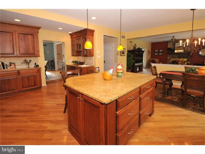 1007 Redtail Road Audubon, PA 19403 - Photo 5 of 22 Kitchen