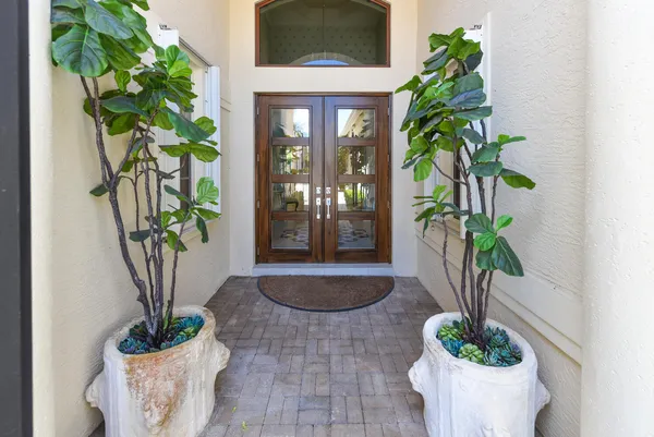 a potted plant sitting in front of a window