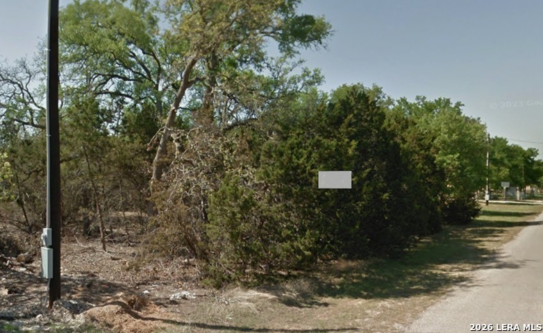 1470 Misty Lane Spring Branch, TX 78070 - Photo 6 of 7