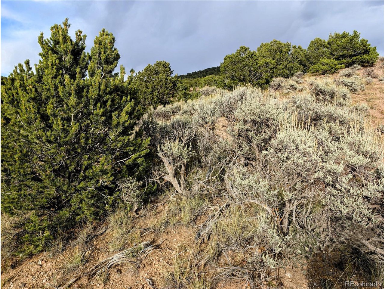 7571 Mallott Road Fort Garland, CO 81133 - Photo 20 of 29 Gallery Image 20