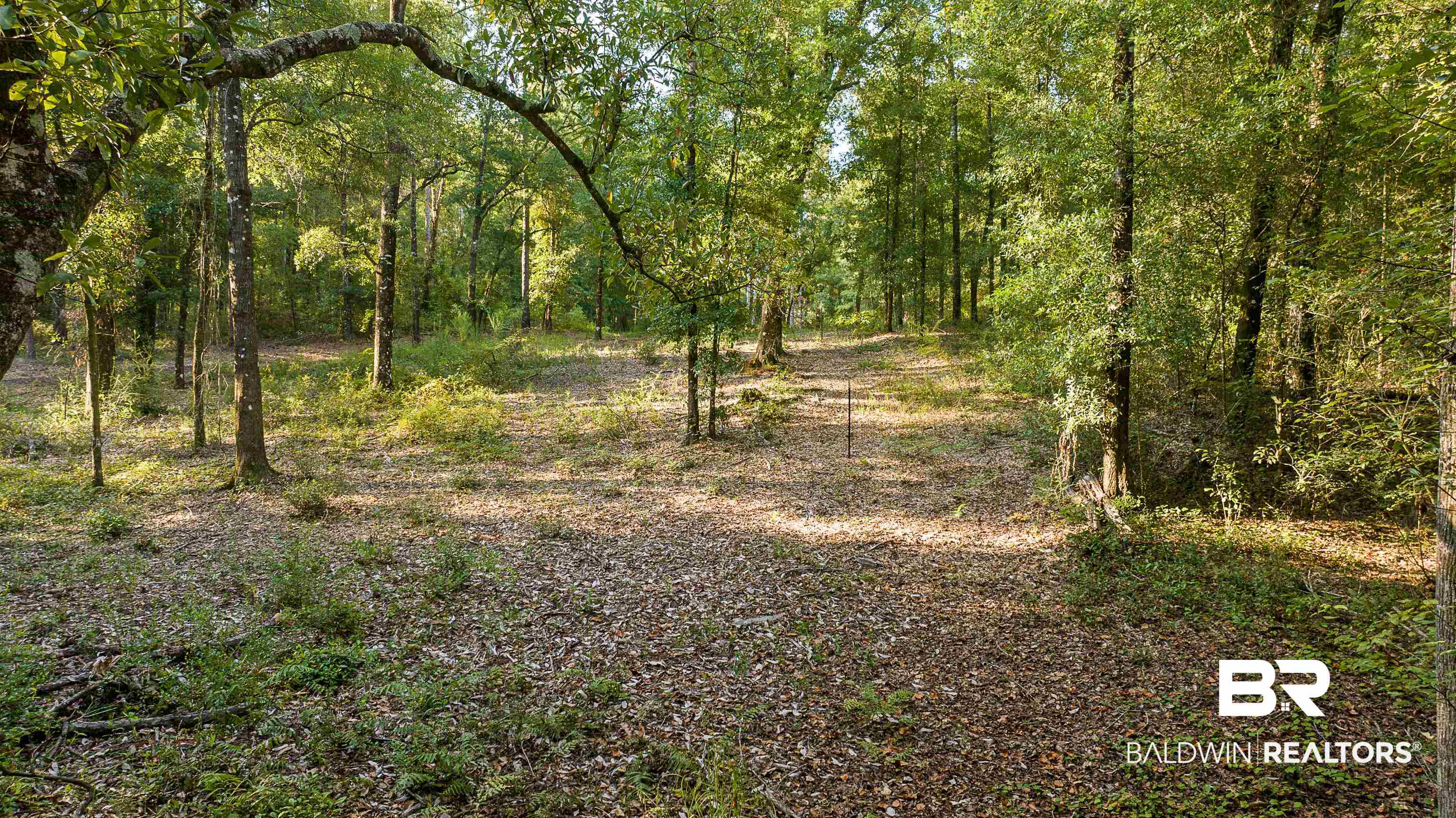 8190 Dixon Road Bay Minette, AL 36507 - Photo 13 of 13