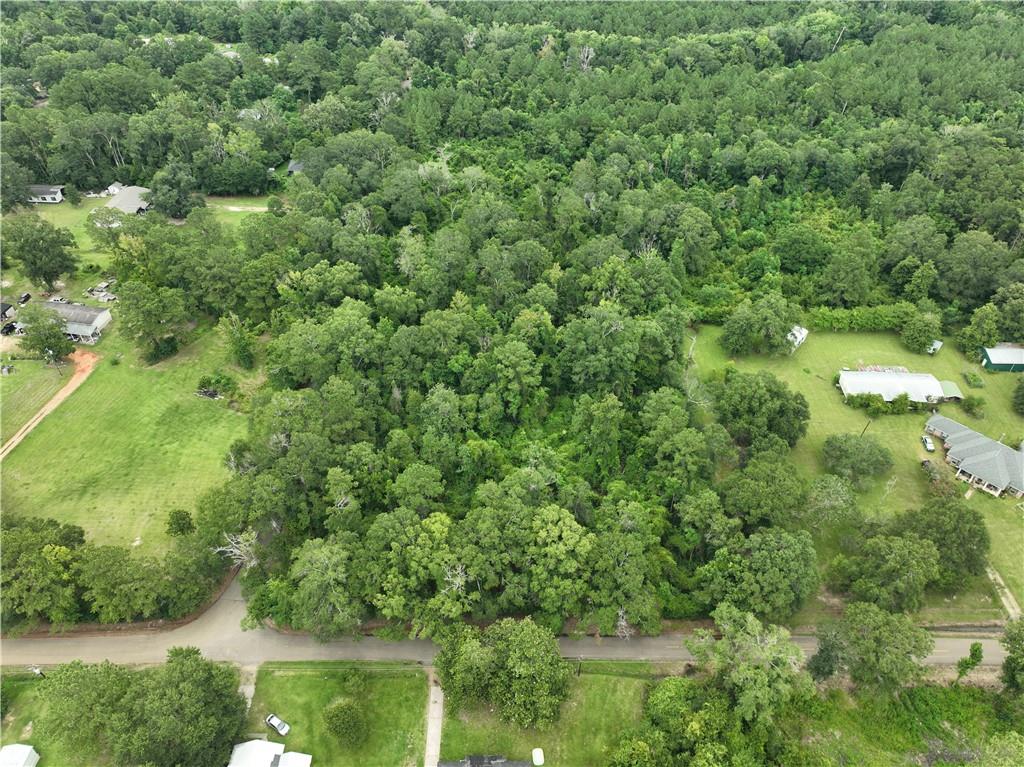 0 Cason Road Independence, LA 70443 - Photo 3 of 7 Gallery Image 3