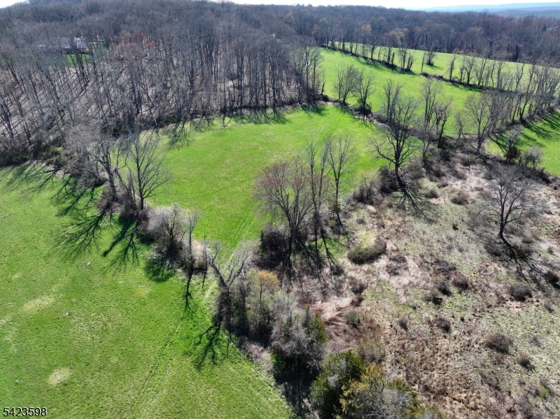 47 Snover Road Lafayette, NJ 07848 - Photo 16 of 33 a view of a garden with a bench