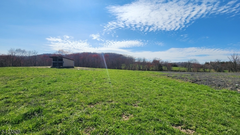 47 Snover Road Lafayette, NJ 07848 - Photo 18 of 33 a view of a garden with an tree