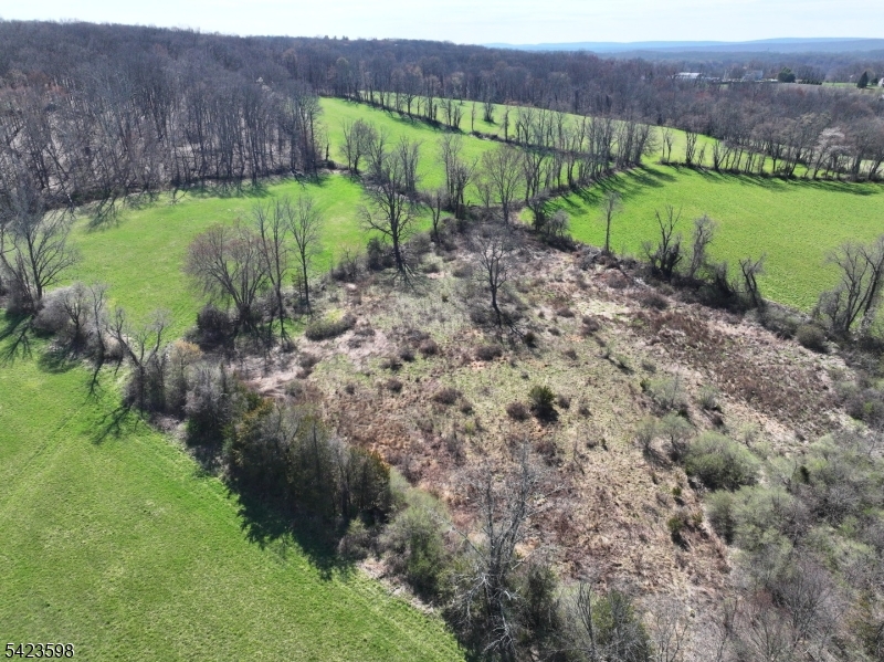 47 Snover Road Lafayette, NJ 07848 - Photo 2 of 33 a view of a garden with a building in the background