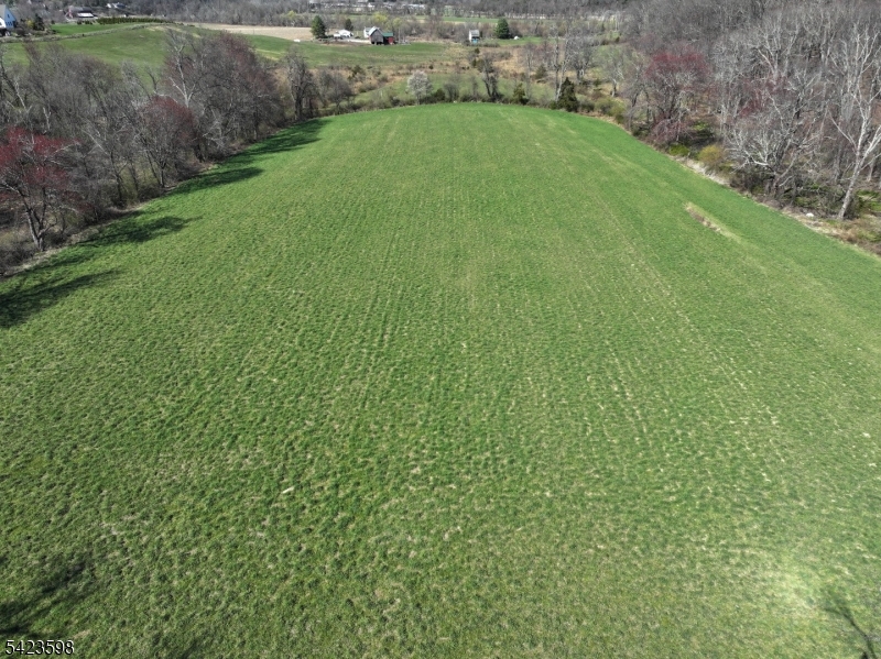 47 Snover Road Lafayette, NJ 07848 - Photo 22 of 33 a view of a green field with plants