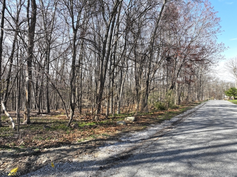 47 Snover Road Lafayette, NJ 07848 - Photo 28 of 33 a view of outdoor space with trees