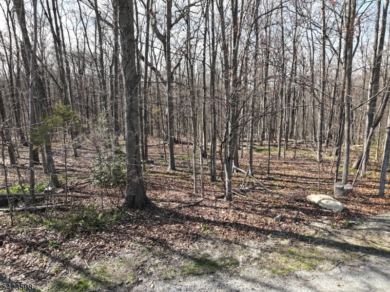 47 Snover Road Lafayette, NJ 07848 - Photo 31 of 33 a view of outdoor space and a yard